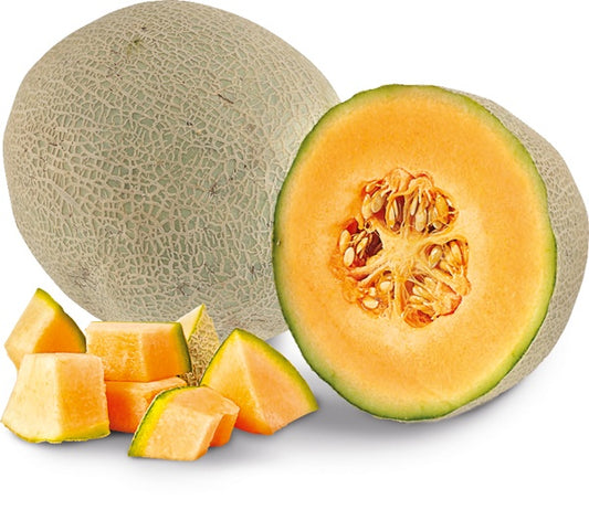 Melon Cantaloupe